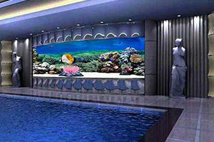 在合肥常见的大型水族箱是由什么材料做的？